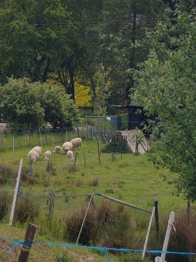 Gite A La Source Breitenbach Buitenkant foto