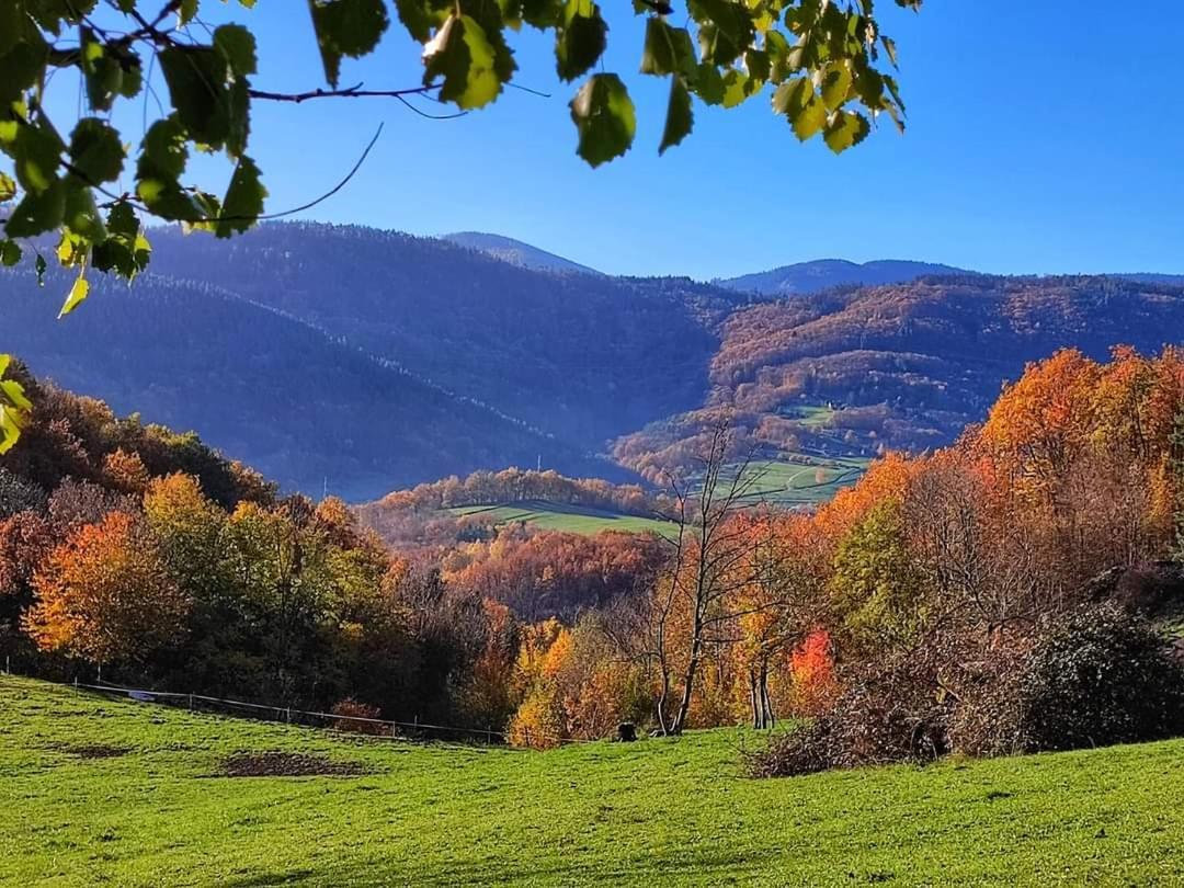 Gite A La Source Breitenbach Buitenkant foto