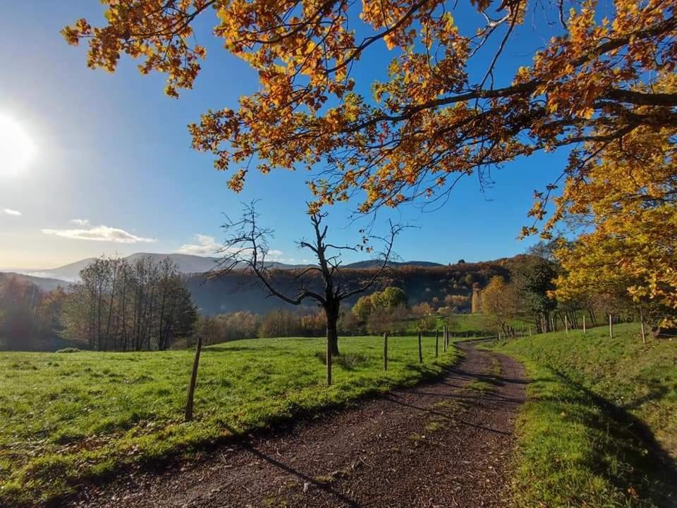 Gite A La Source Breitenbach Buitenkant foto