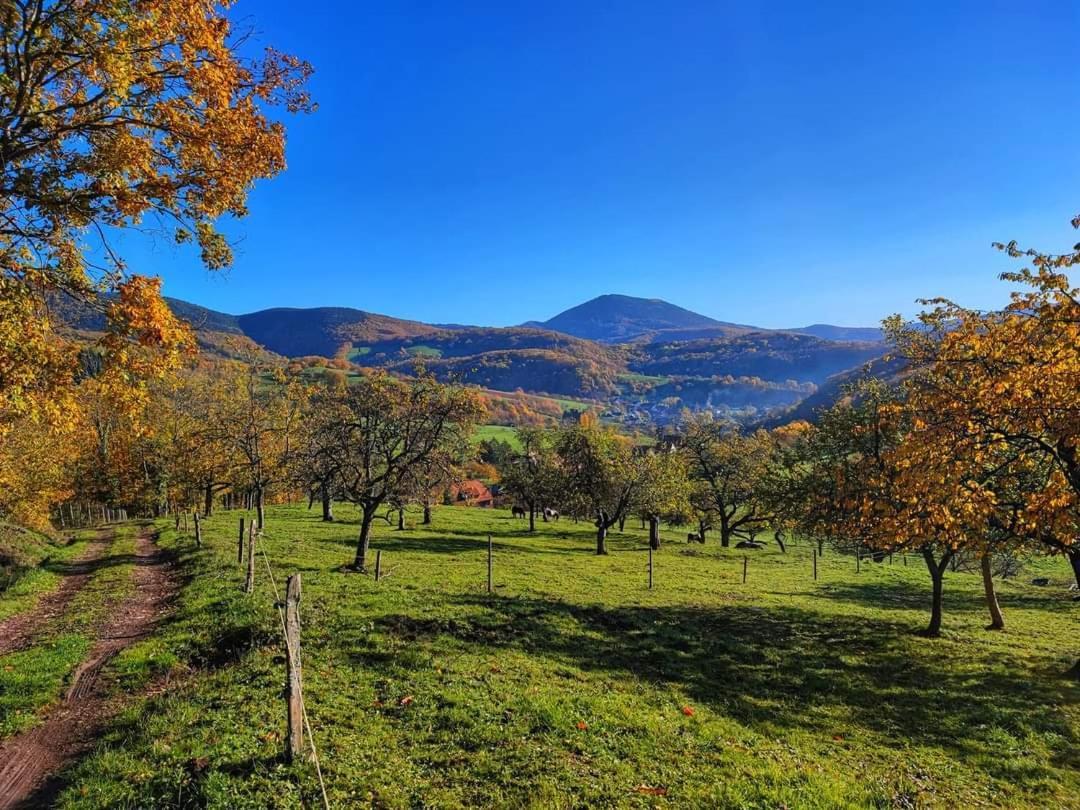 Gite A La Source Breitenbach Buitenkant foto