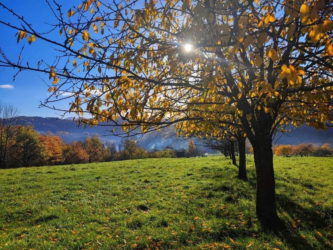 Gite A La Source Breitenbach Buitenkant foto