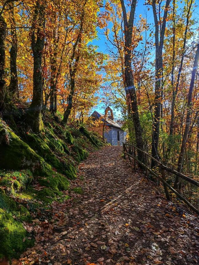 Gite A La Source Breitenbach Buitenkant foto
